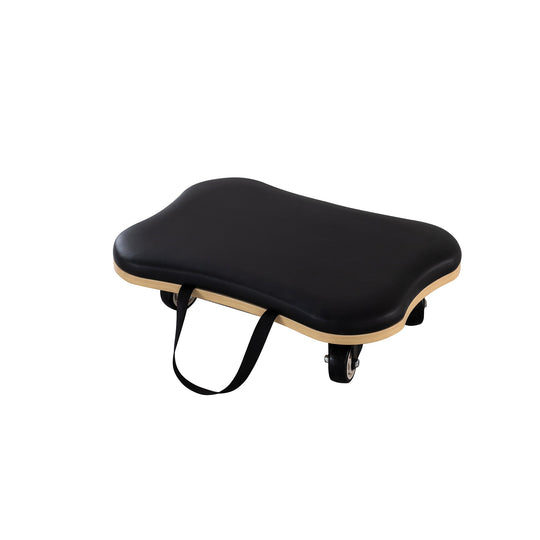LEAP SPORTS Pilates Balance Board Roller